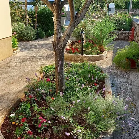 Apartament With Parking Space Muline, - 8521 Ugljan